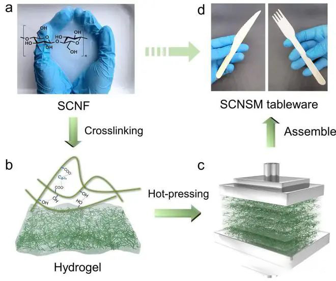 A new choice of biodegradable tableware!